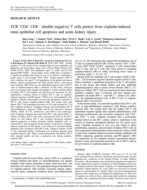 TCR+CD4-CD8-(double negative) T cells protect from cisplatin-induced renal epithelial cell apoptosis and acute kidney injury