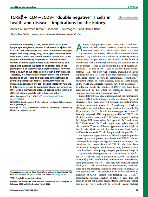 TCRαβ+ CD4-/CD8- “double negative” T cells in health and disease—implications for the kidney