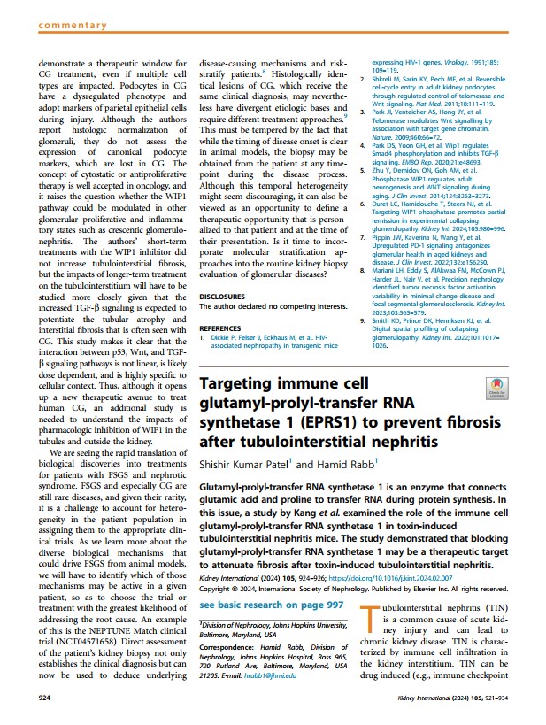 Targeting immune cell glutamyl-prolyl-transfer RNA synthetase 1 (EPRS1) to prevent fibrosis after tubulointerstitial nephritis