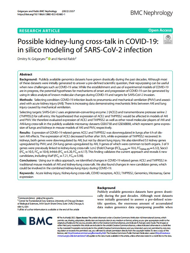 Possible kidney-lung cross-talk in COVID-19: in silico modeling of SARS-CoV-2 infection