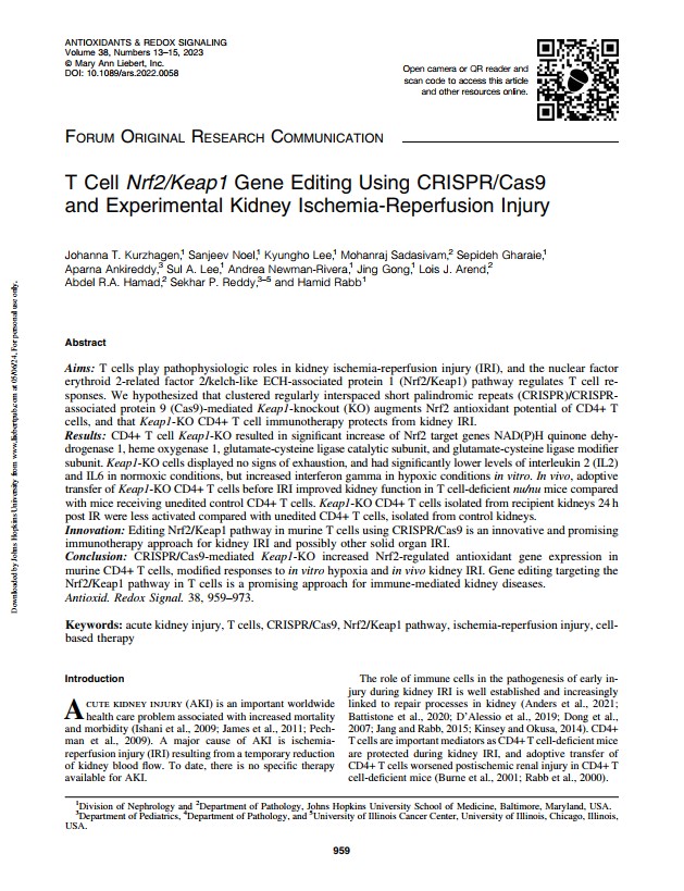 T cell Nrf2/Keap1 gene editing using CRISPR/Cas9 and experimental kidney ischemia-reperfusion injury