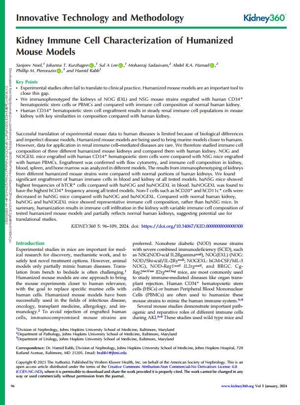 Kidney immune cell characterization of humanized mouse models