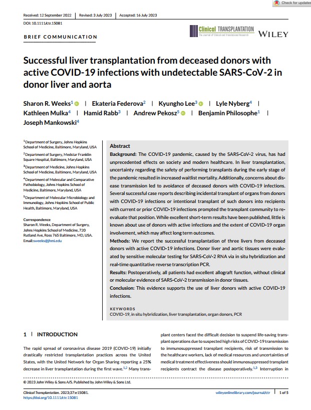 Successful liver transplantation from deceased donors with active COVID-19 infections with undetectable SARS-CoV-2 in donor liver and aorta