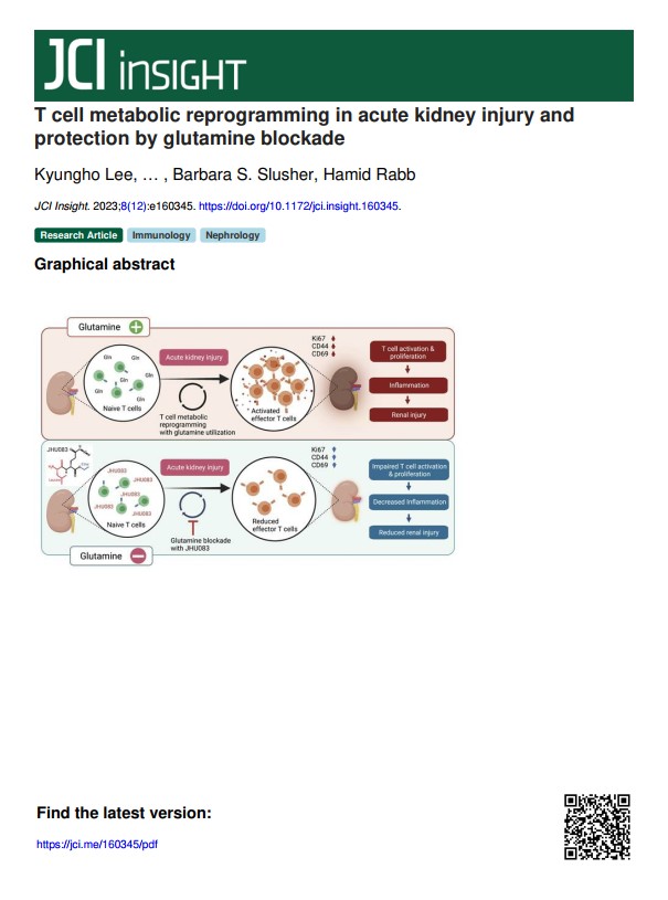 T cell metabolic reprogramming in acute kidney injury and protection by glutamine blockade