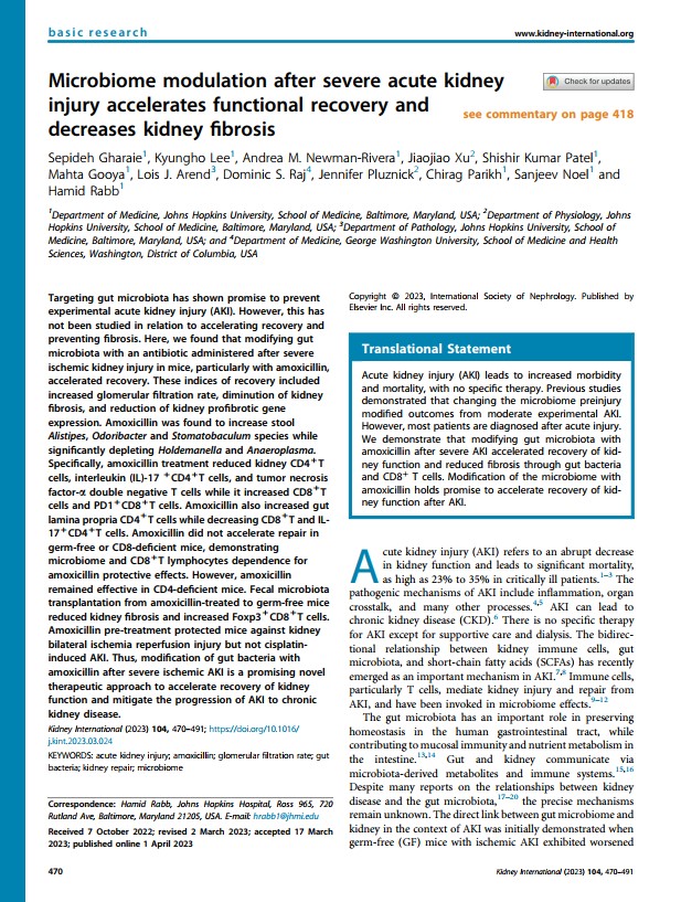 Microbiome modulation after severe acute kidney injury accelerates functional recovery and decreases kidney fibrosis