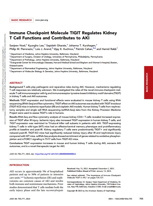 Immune checkpoint molecules TIGIT regulates kidney T cell functions and contributes to AKI